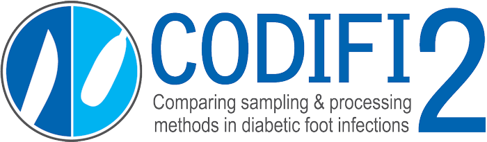 CODIFI2 Logo