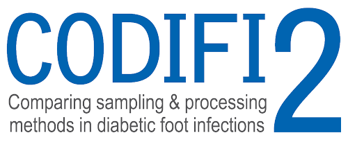Codifi2 logo