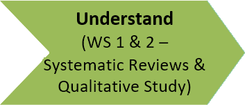 Understand - Workstream 1 and 2, Systematic Reviews and Qualitative Study - Complete