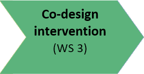 Co-Design intervention - Workstream 3 - Complete