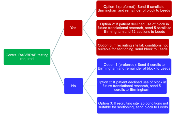 Options available for the biomarker testing