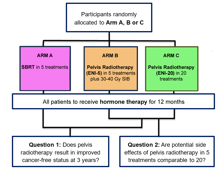 http://ctru.leeds.ac.uk/wp-content/uploads/2024/10/Overview-of-the-POINTER-PC-trial-treatments-3.png""